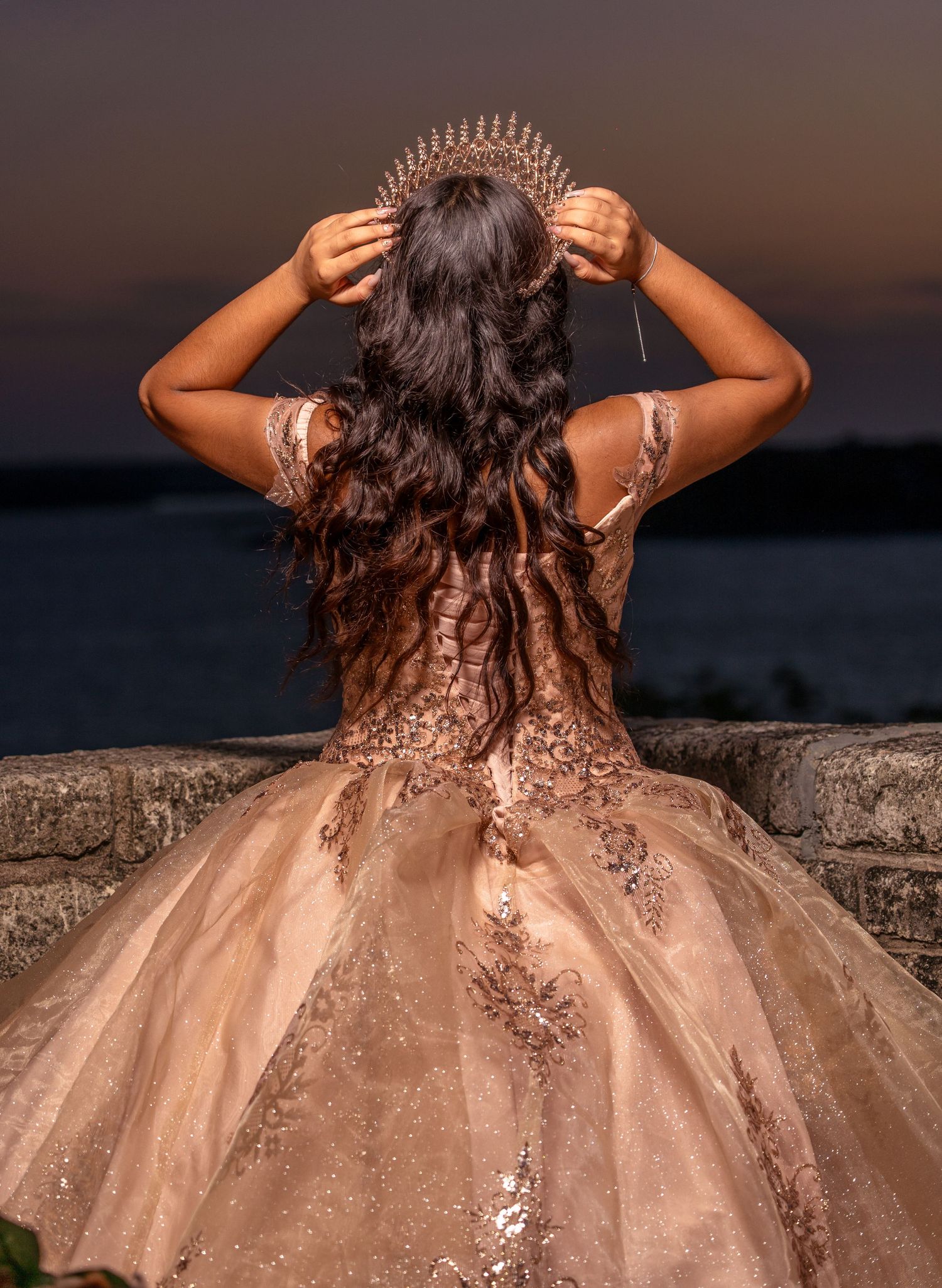 A ball gown in champagne with intricate embroidery shown from behind against a sunset backdrop.