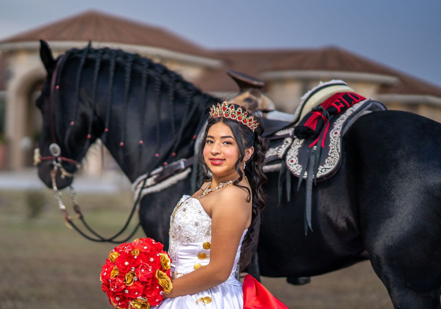 A beautiful outdoor portrait session with a black horse against a residential backdrop.