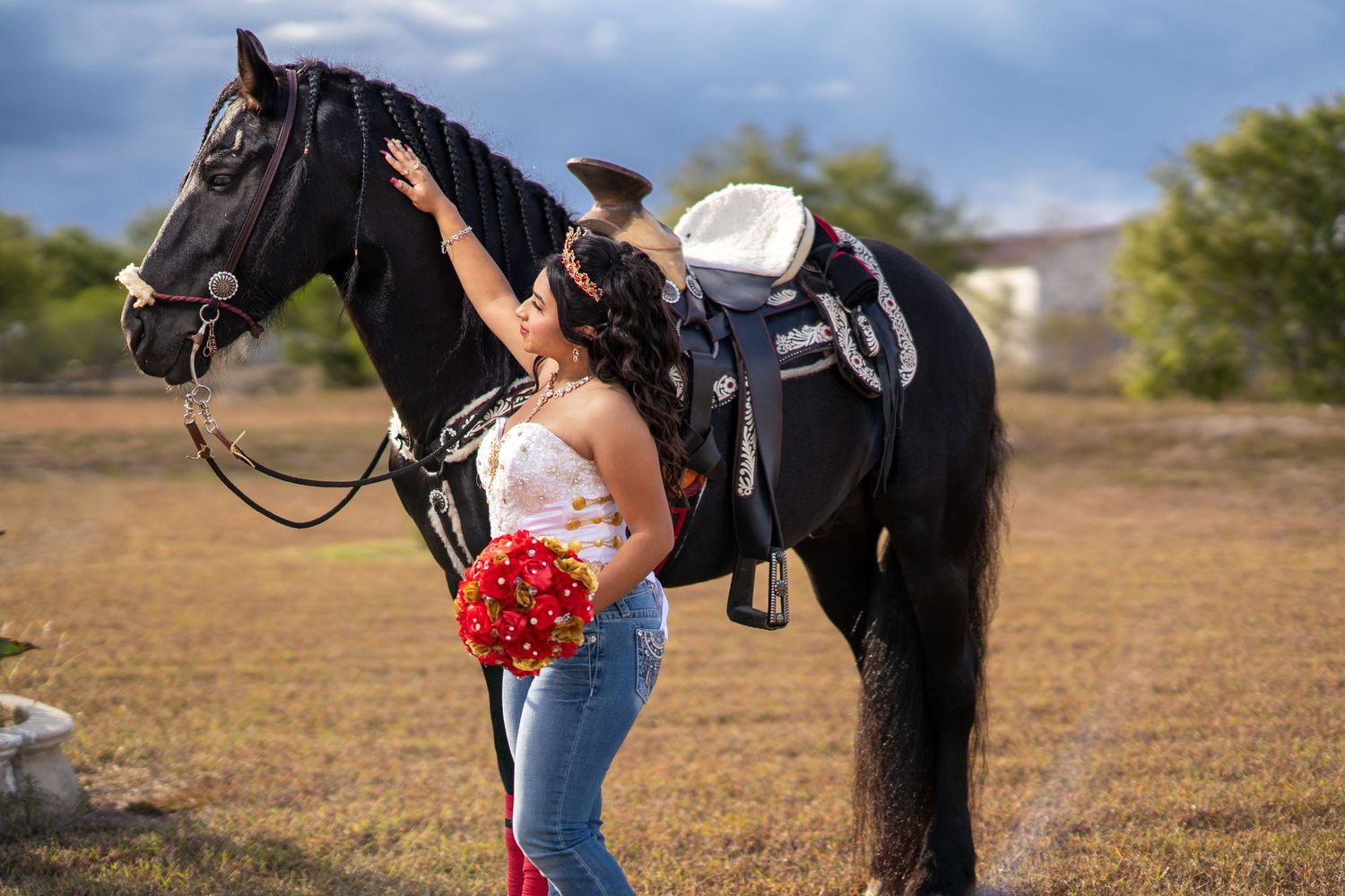 A person in casual attire interacts with a black horse wearing red leg wraps in a grassy field.