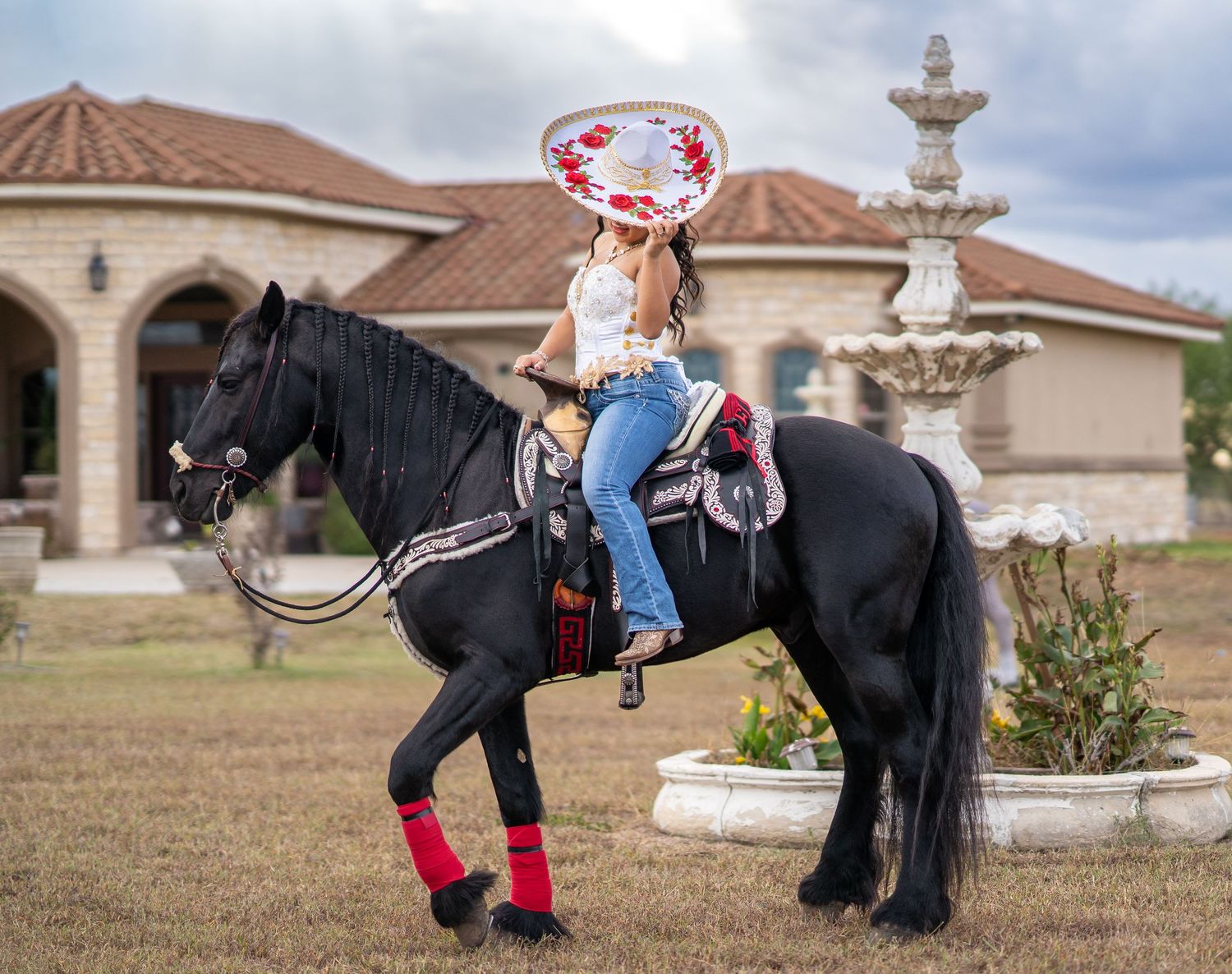 A black horse performs tricks and poses in a residential area with Spanish-style homes in the background.