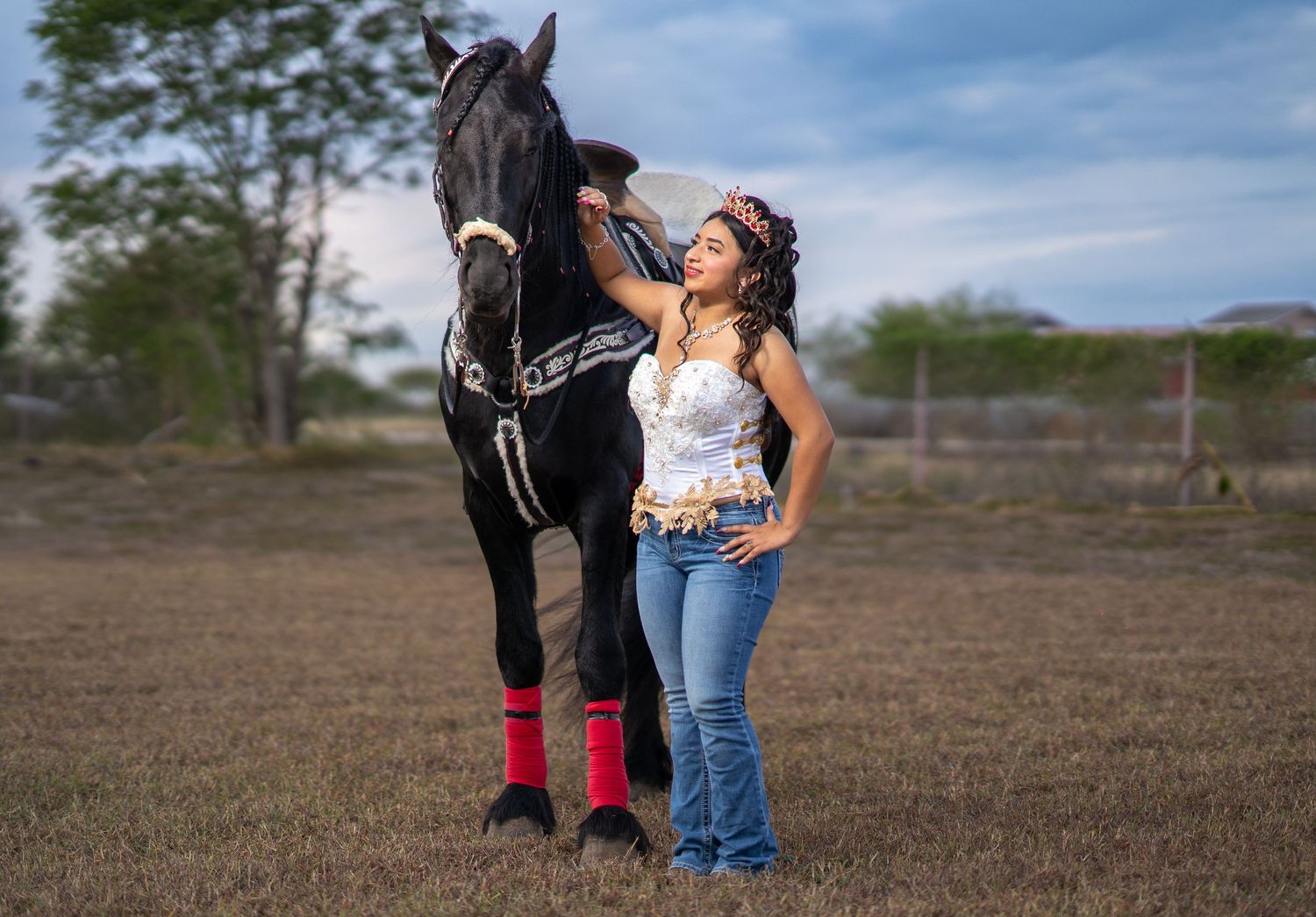 A majestic black horse poses in a field with handlers during a photo session.