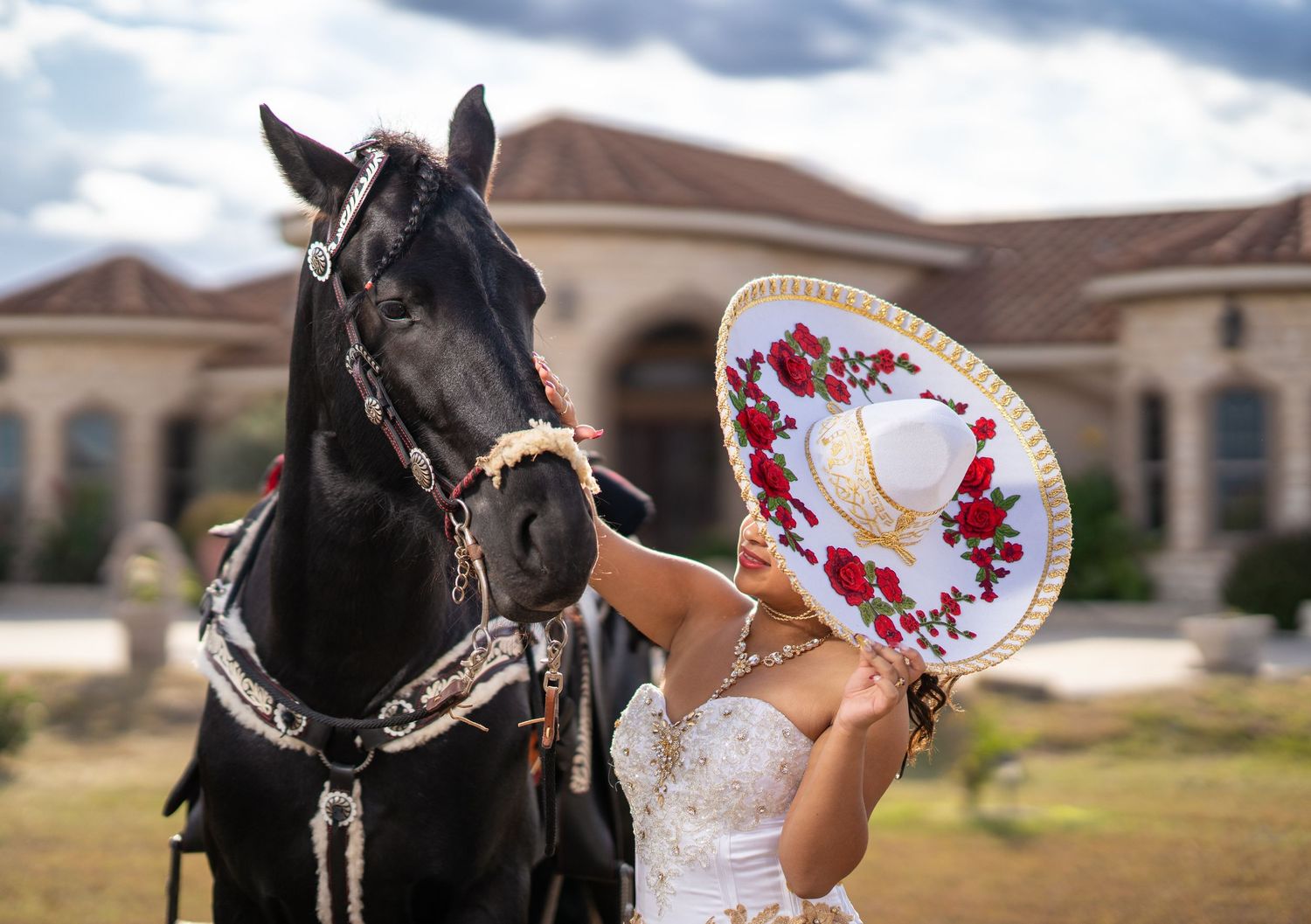 A majestic black horse poses with someone in a formal dress with red accents in a field.
