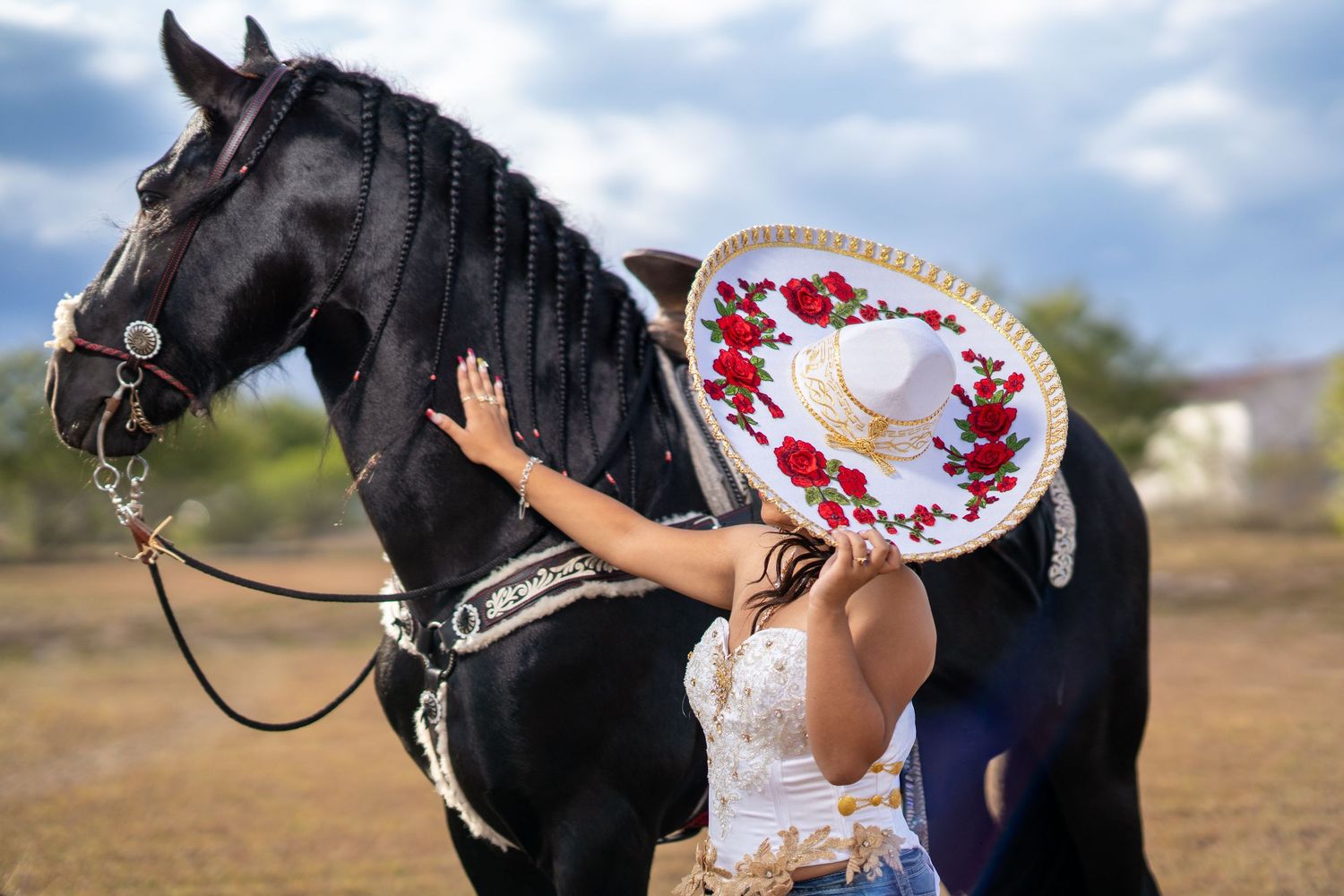 A series of equestrian photos showing a black horse and rider in traditional dress performing dressage movements.