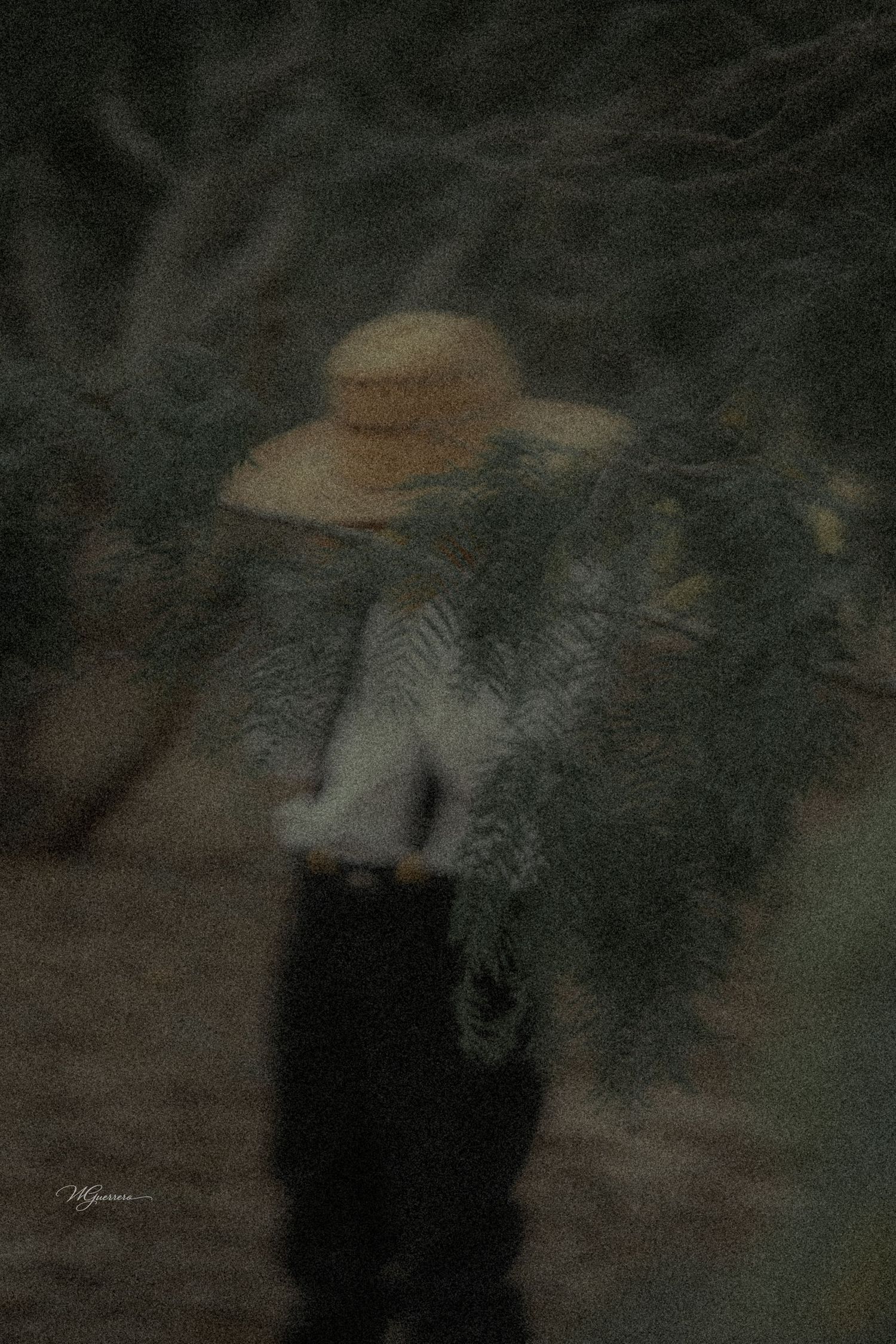 A solitary figure wearing a wide-brim straw hat carries foliage in a dark, atmospheric woodland setting.