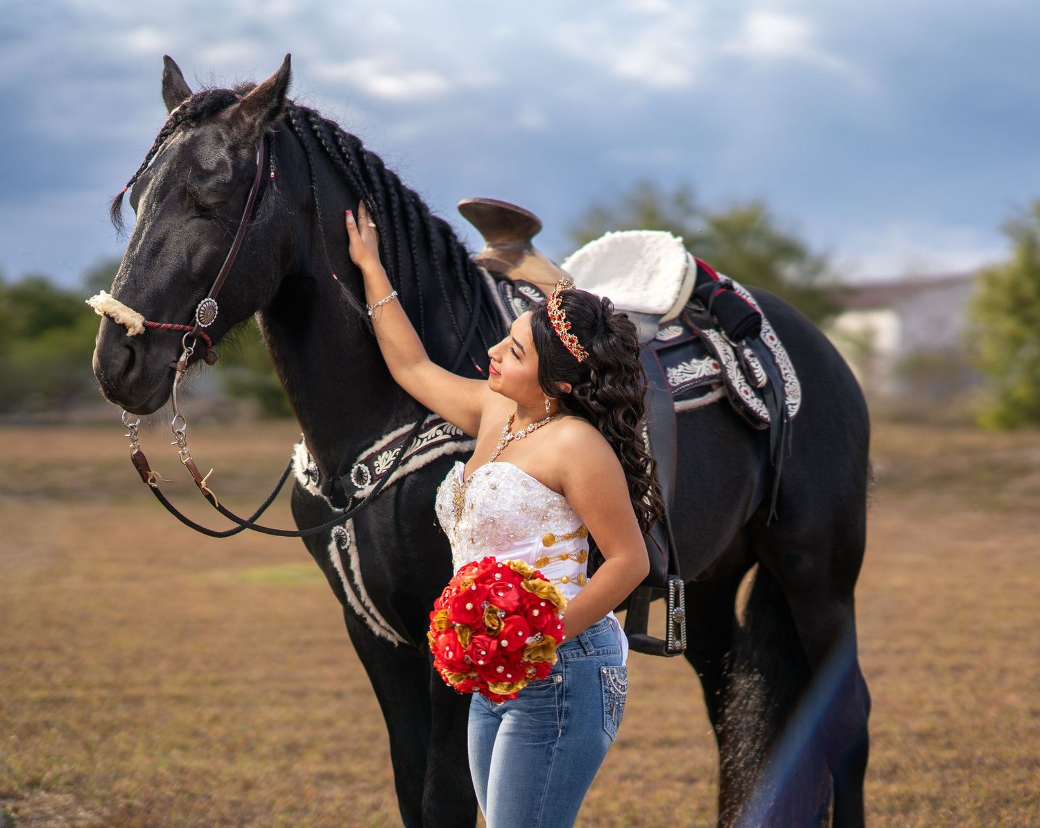A black horse stands patiently while being photographed in an open field.