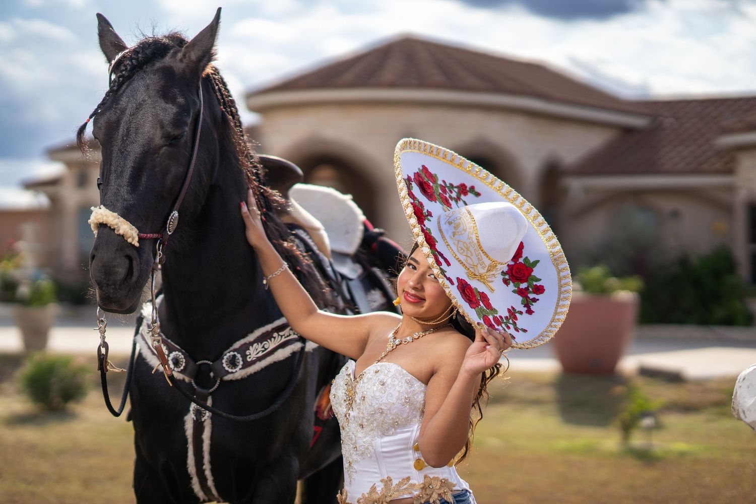 A black horse stands in profile against a cloudy sky during an outdoor photo session.