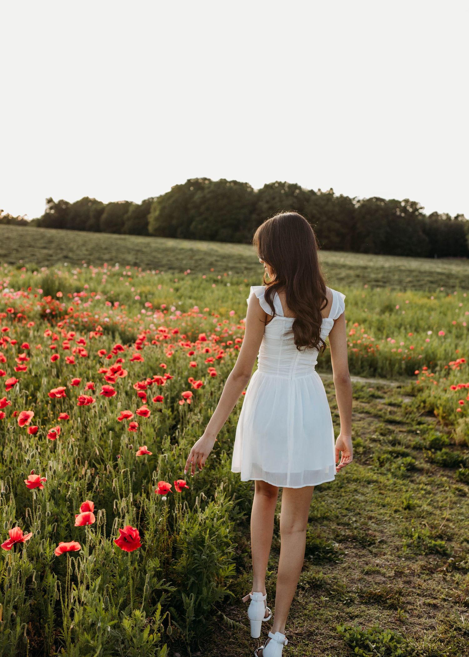 Person in white dress walking through vibrant red poppy field at sunset creating dreamy summer atmosphere.