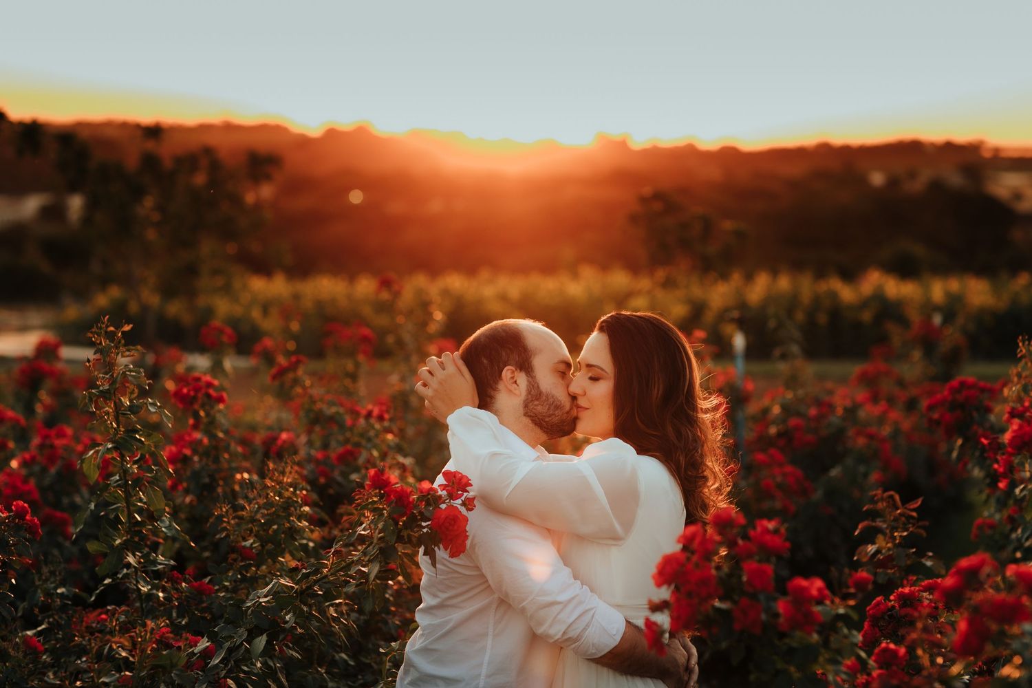Um momento romântico do pôr do sol capturado em um jardim repleto de rosas vermelhas vibrantes durante a hora dourada.