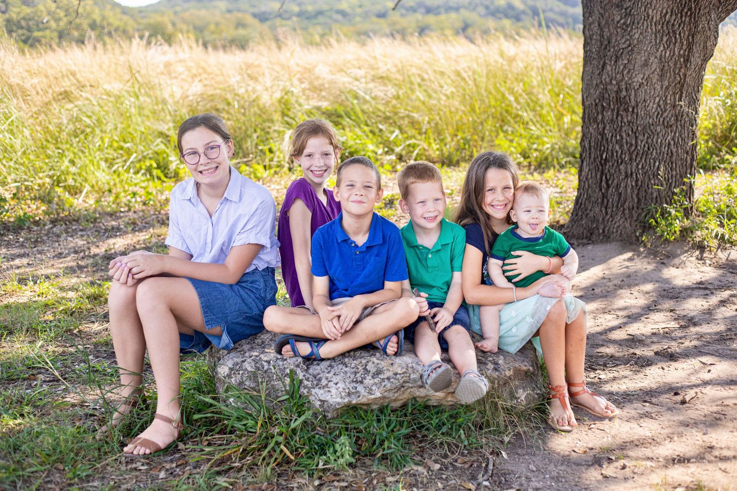 Family members sitting in a row under a large tree with golden field in background.