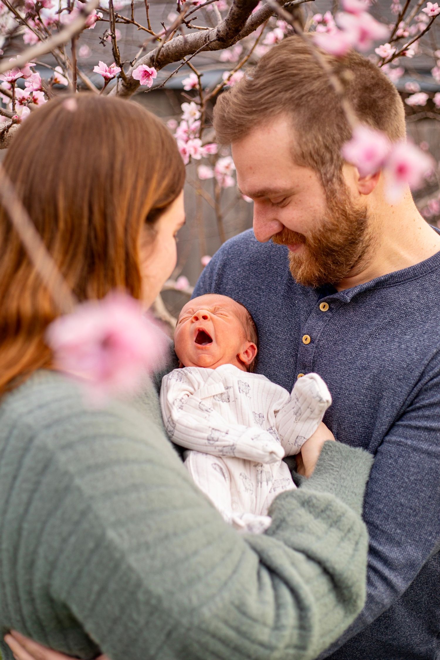 Intimate family portraits under pink cherry blossoms showing gentle interactions.