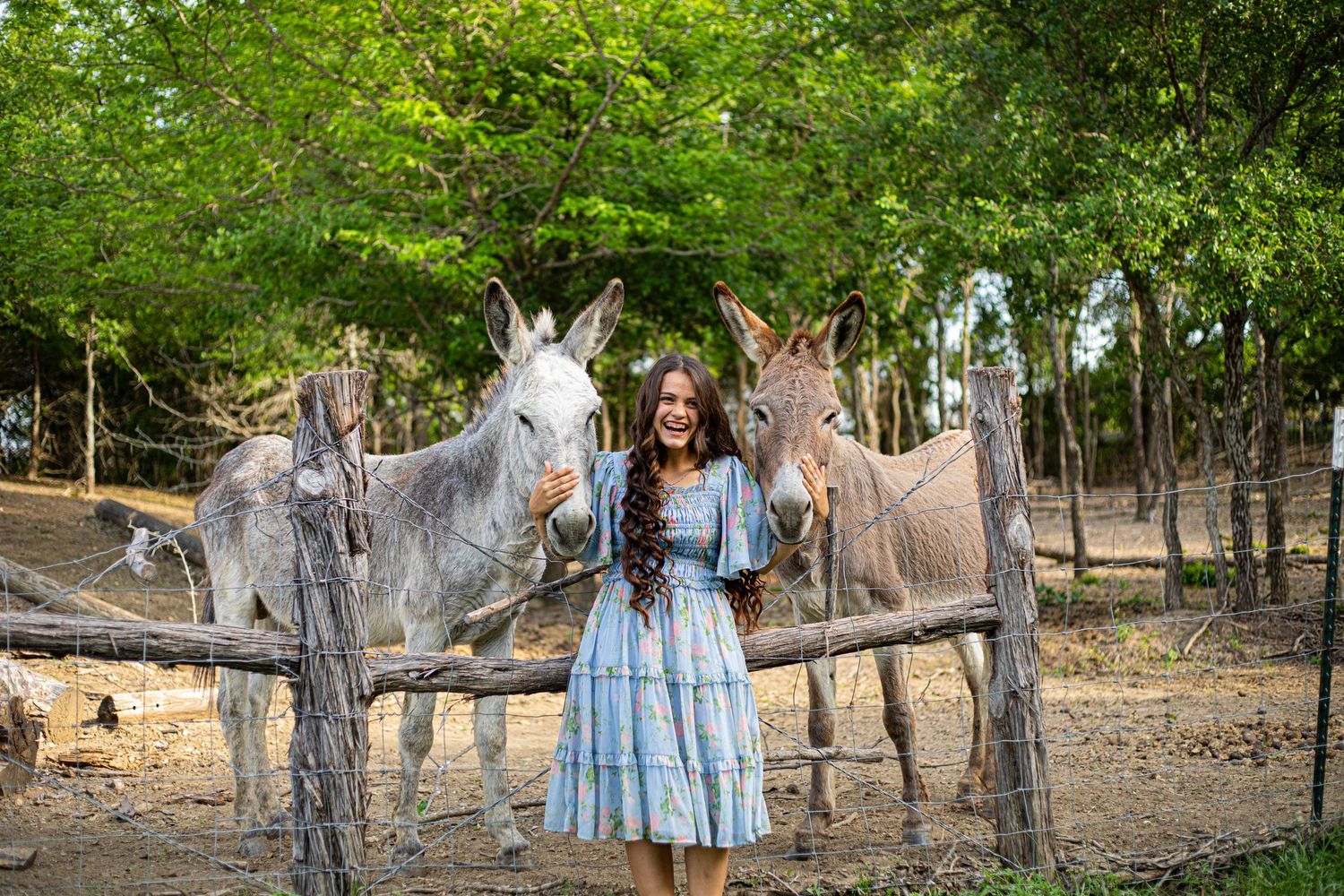 Woman in blue dress smiling with two donkeys at a rustic farm fence surrounded by lush green trees.