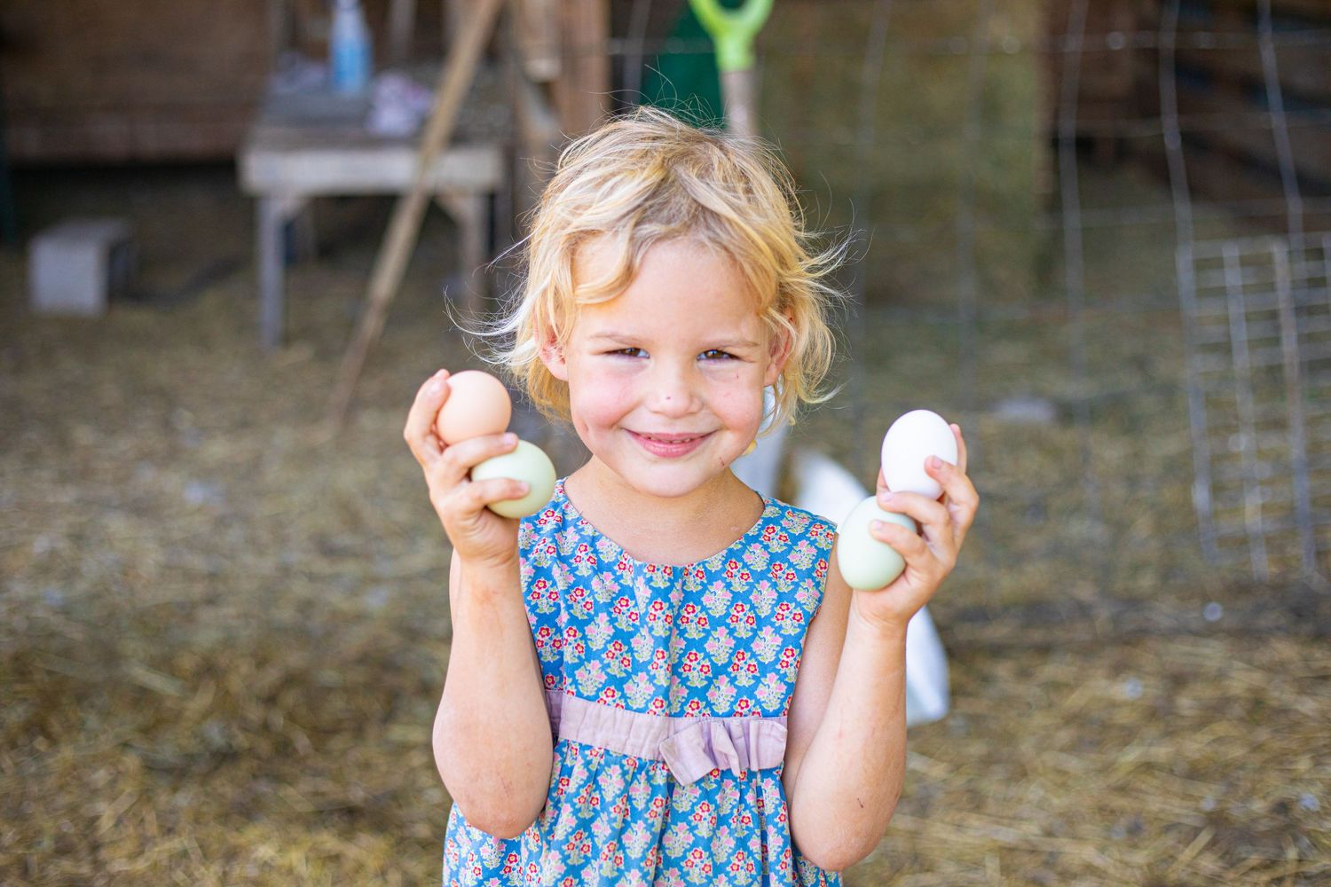 Child in blue dress holding eggs while standing in rustic farm setting.