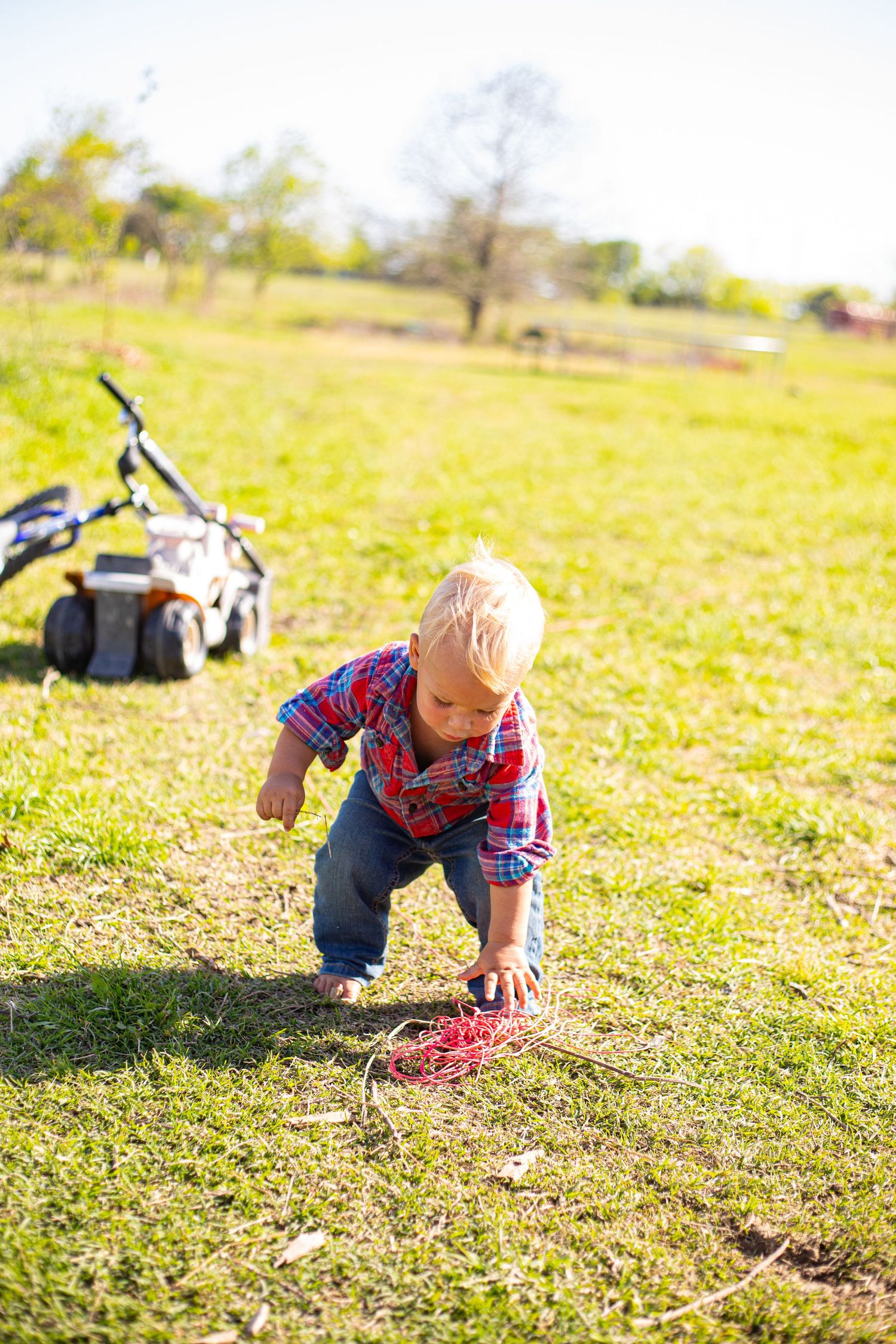 Toddler crawling and exploring in grassy field on sunny day.