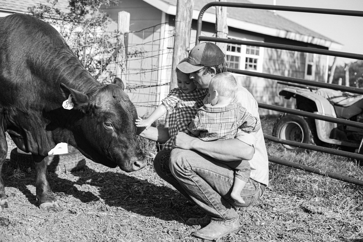 Black and white photo of people interacting with farm animals near a barn.