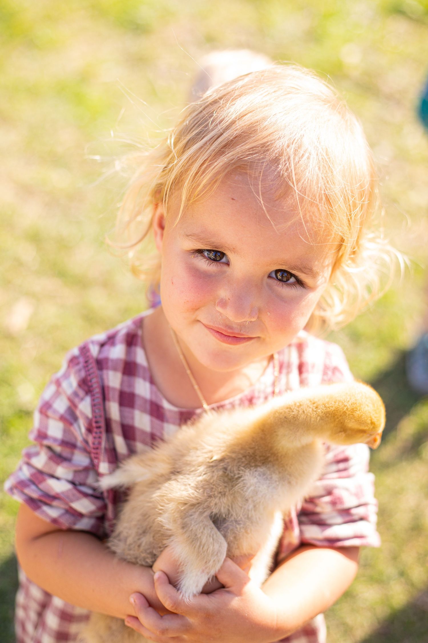 Child in red plaid shirt cuddling small furry animal in sunny garden.