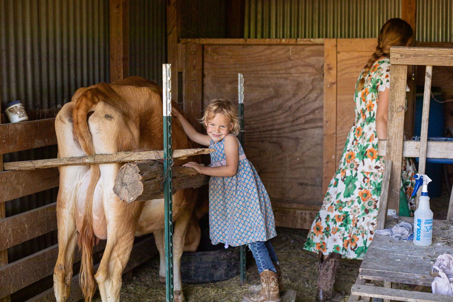 Family visiting horses in a rustic barn stable setting.