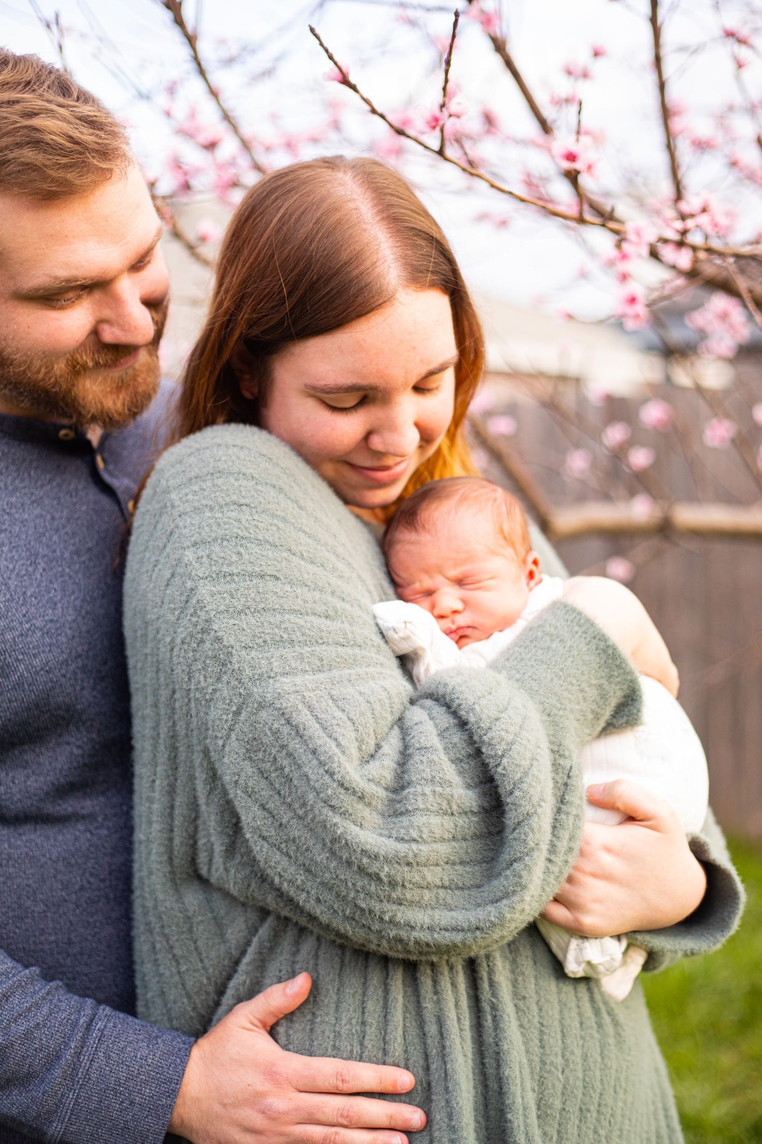 Tender family moments captured under blooming cherry blossoms with soft lighting.