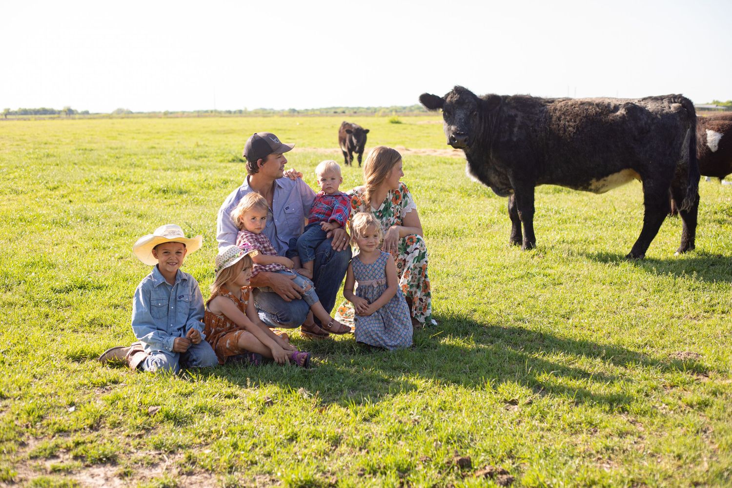 People and cattle relaxing in a sunlit pasture on a farm.