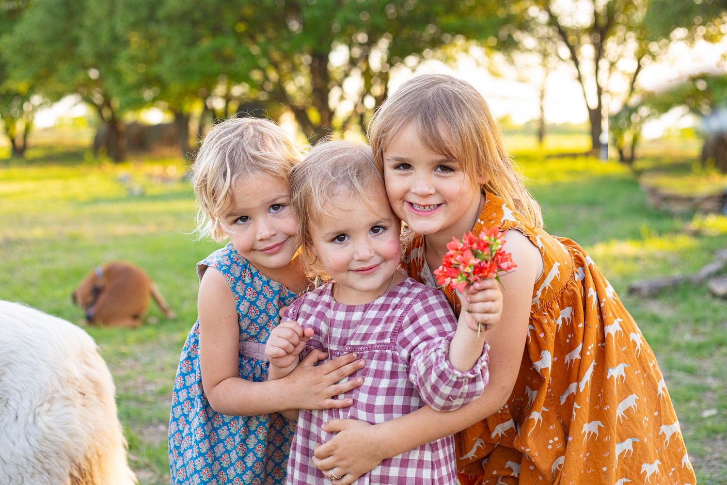 Children in colorful dresses hugging and playing outdoors at sunset.