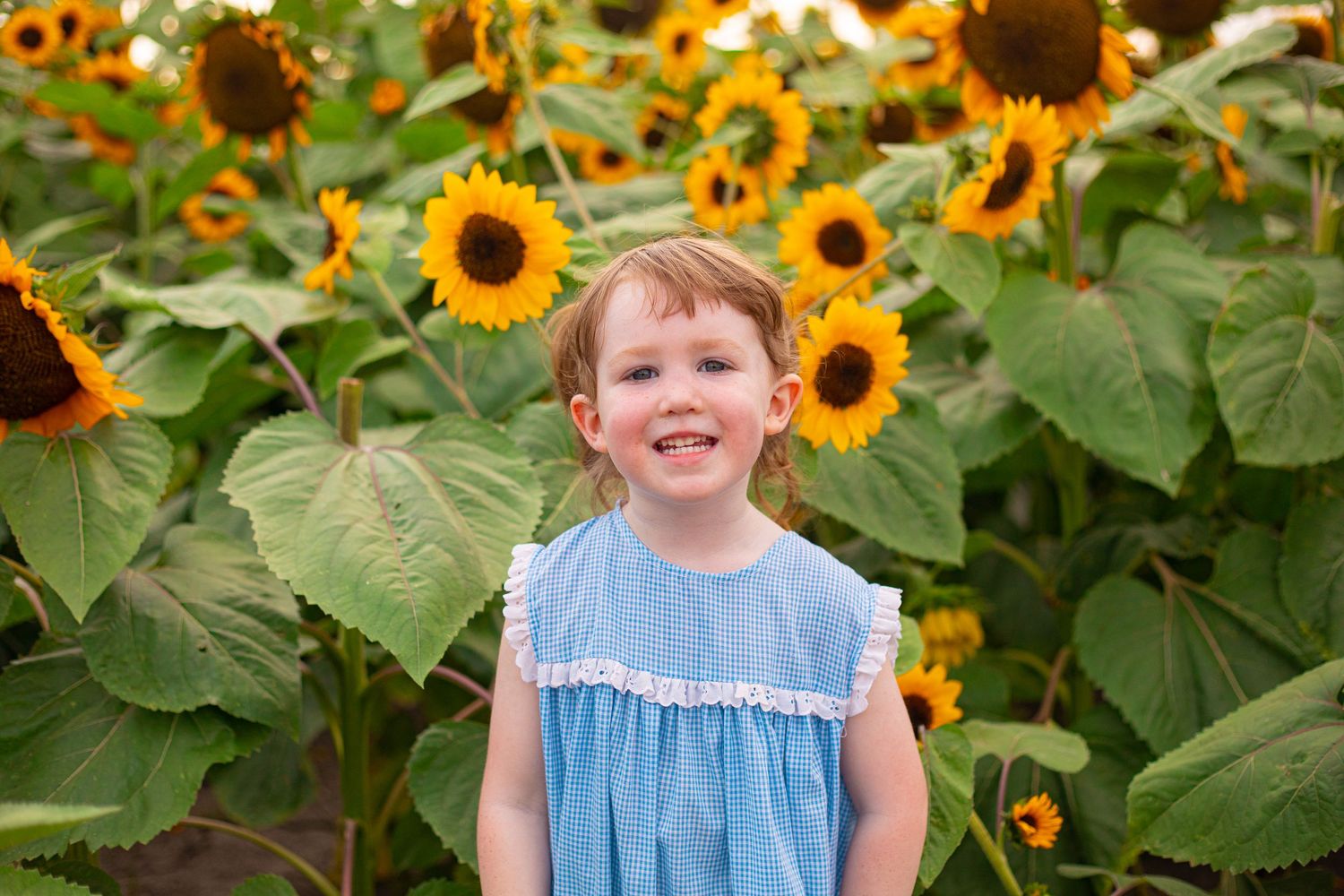 A child stands in front of a vibrant field of tall blooming sunflowers.