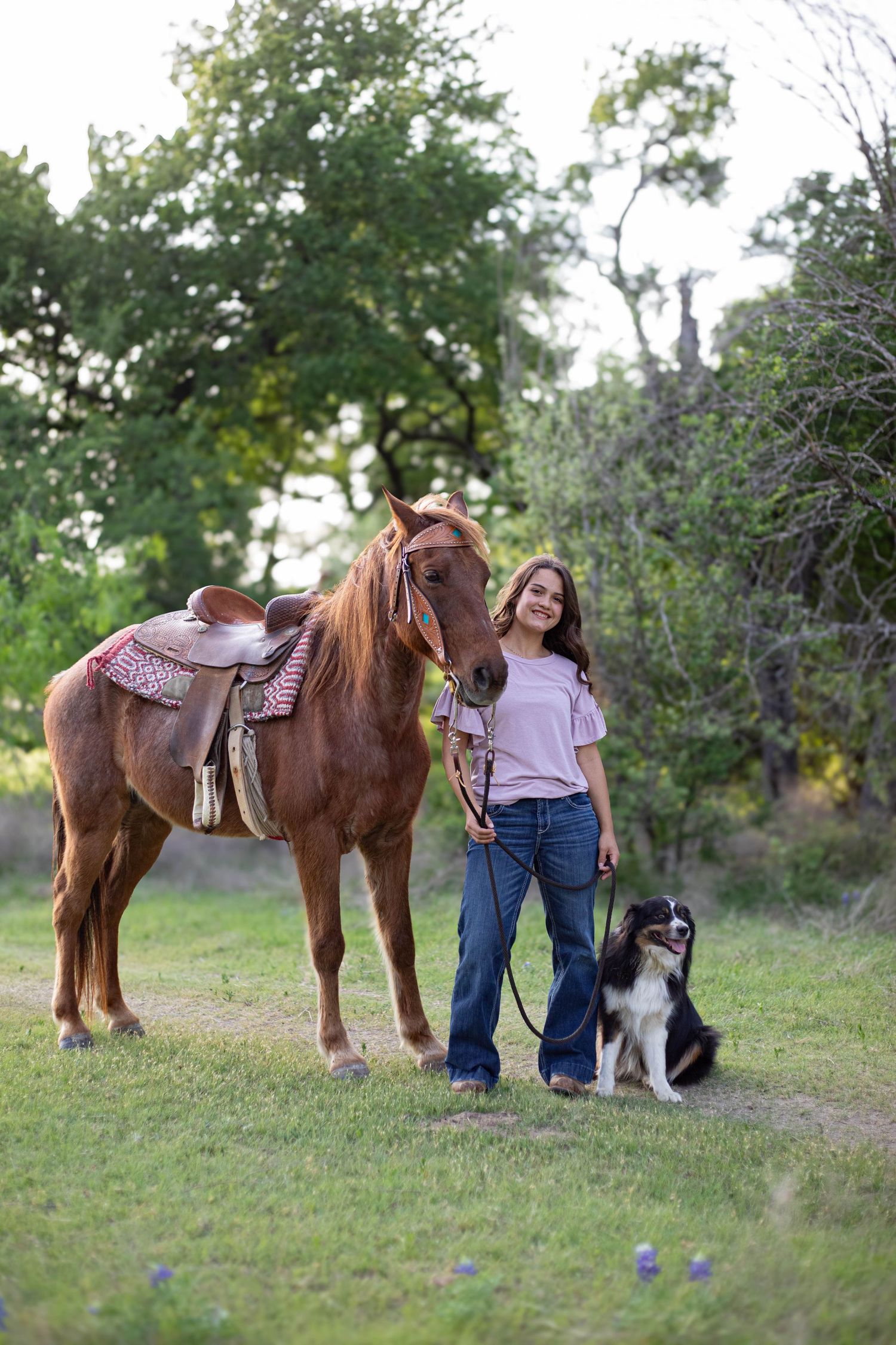Young girl stands with a saddled chestnut horse and border collie dog on green grass with trees in background.