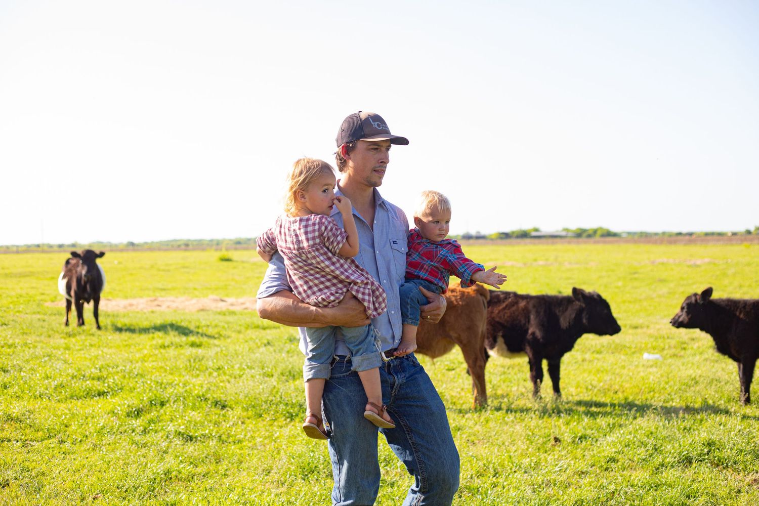 Visitors observing cattle in a sunny pasture with red barn in background.