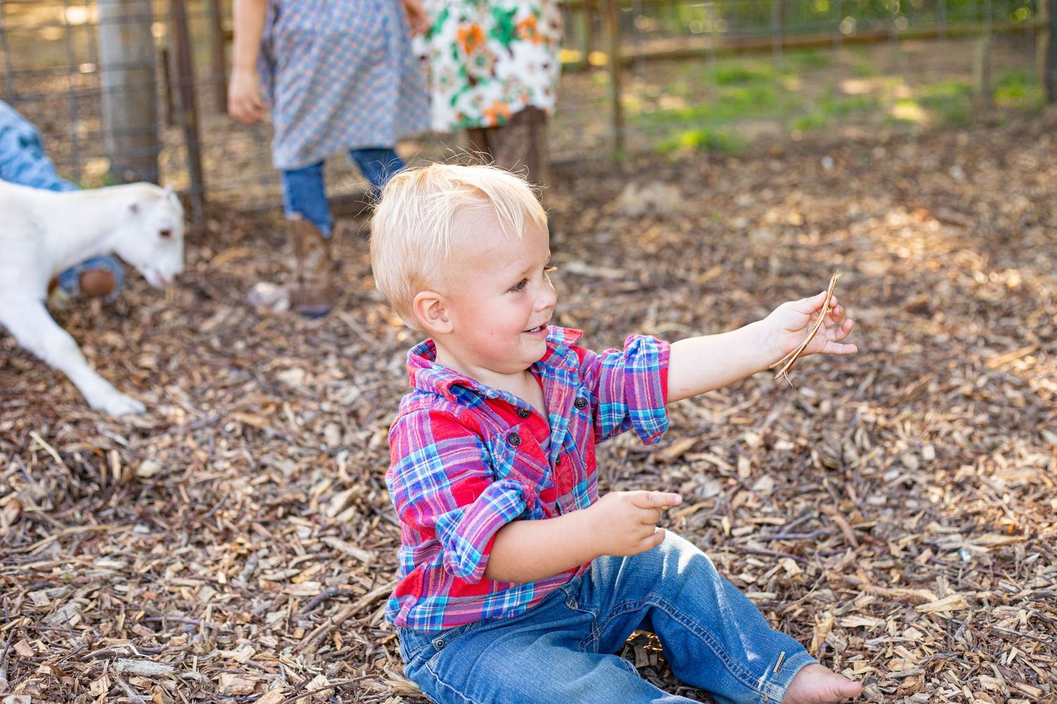 Child in plaid shirt sitting on ground making expressive gesture outdoors.