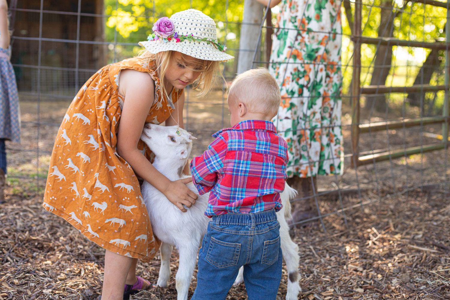 Two children in casual attire petting a white goat in a rustic farm setting.