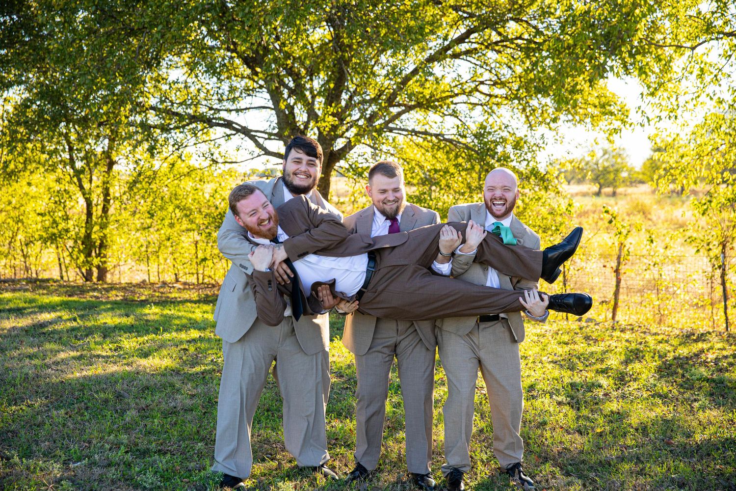 Groomsmen in brown suits joyfully lifting the groom outdoors under a tree at a wedding celebration.