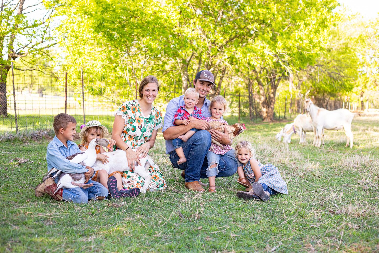 Family gathering outdoors on grassy lawn during sunny afternoon.