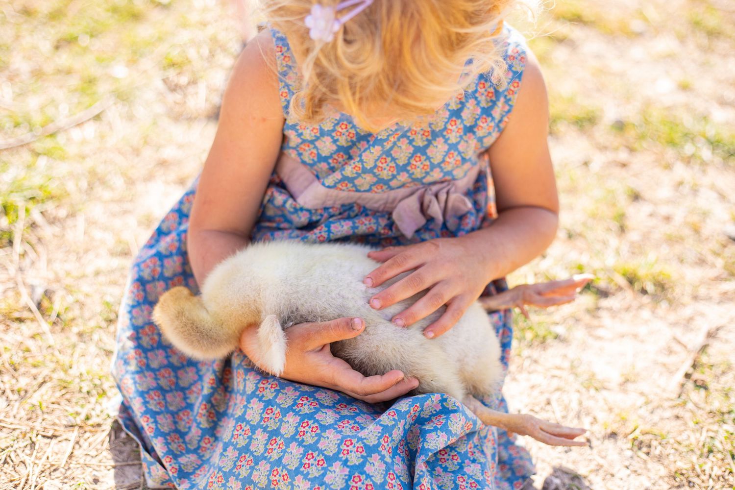 Child in blue patterned dress holding small animal in golden afternoon light.