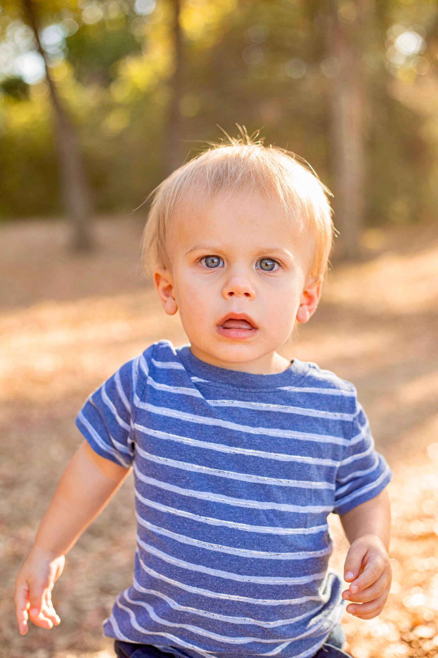 A young child in a blue striped shirt looks ahead during an outdoor photo session.