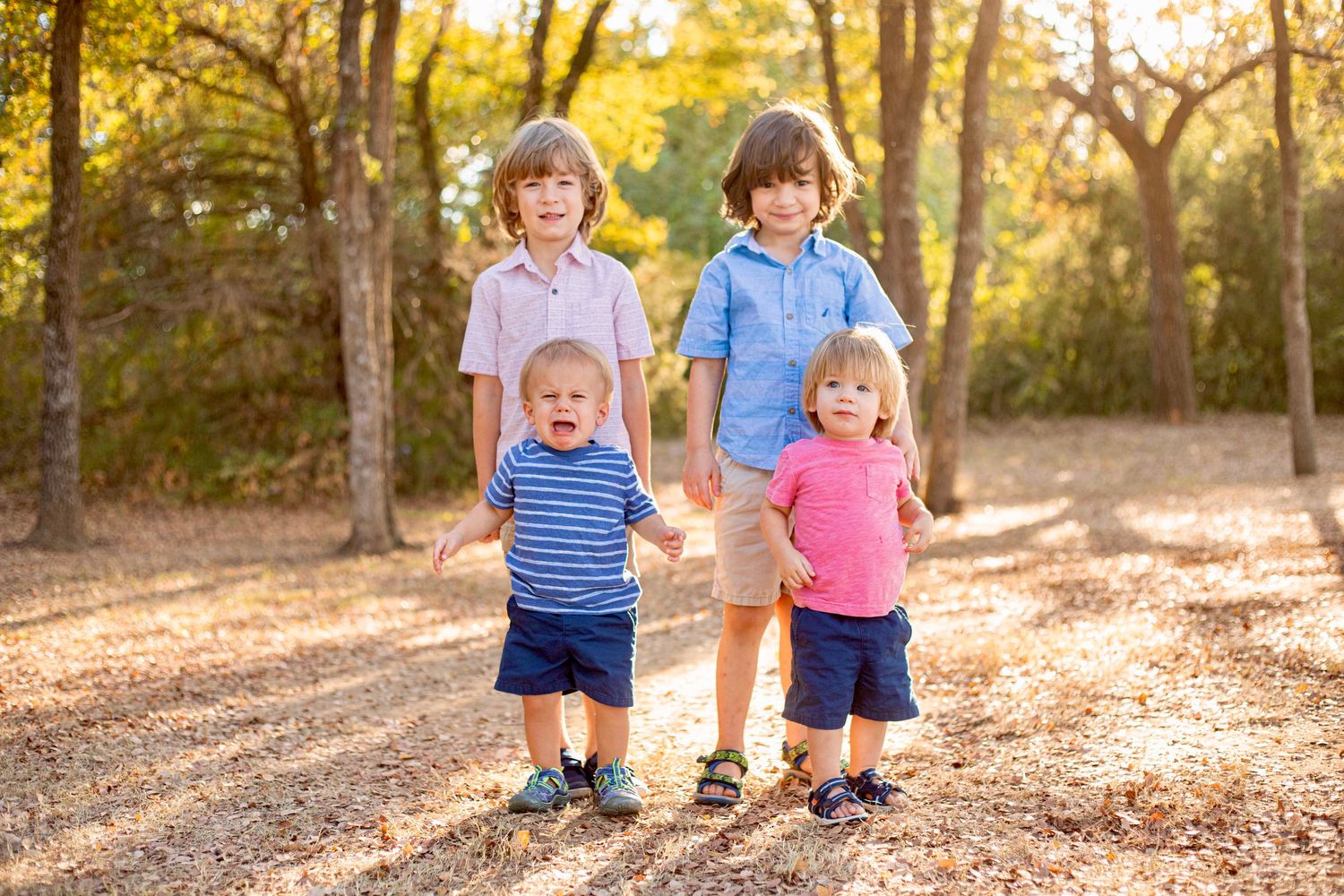 Children playing and walking through a sunlit forest path with fallen leaves.