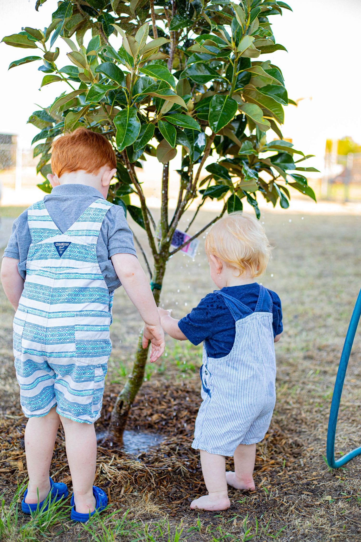 Two toddlers holding hands beside a small green tree outdoors, wearing matching striped overalls in blue and gray.
