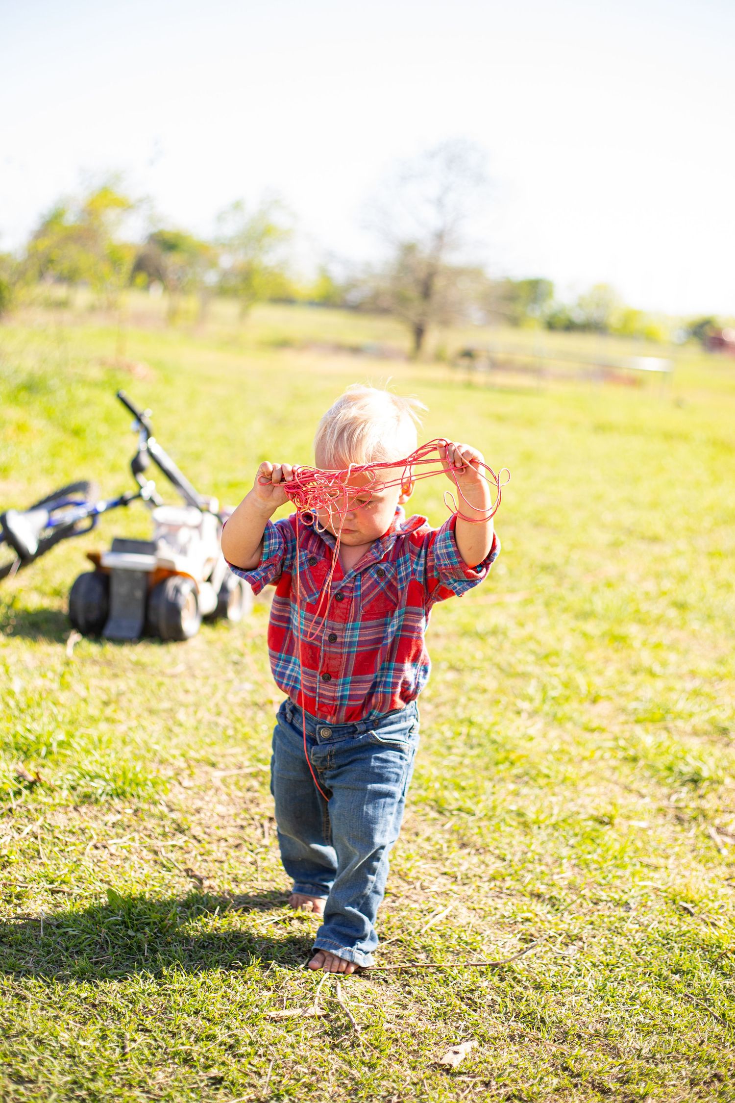Small child in plaid shirt and jeans running through sunny field.