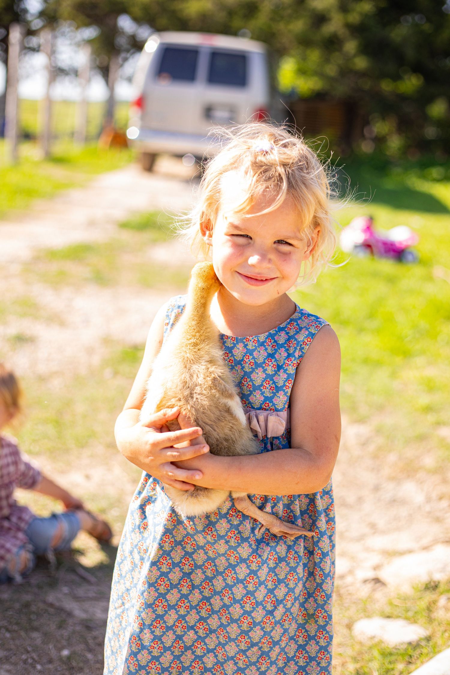 Young girl in patterned dress holding small animal in sunny outdoor setting.