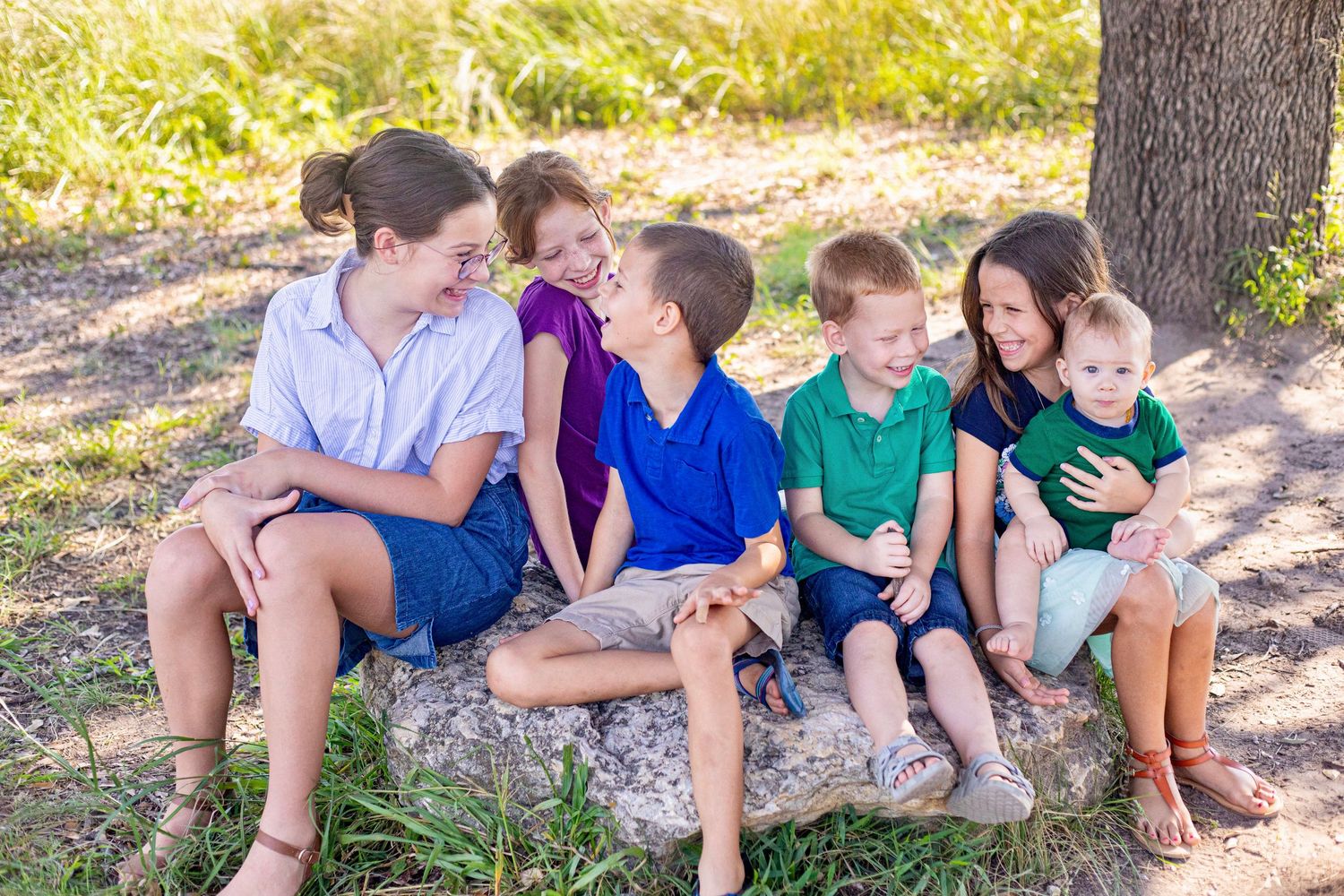 Group relaxing together under a shady tree on a sunny afternoon.