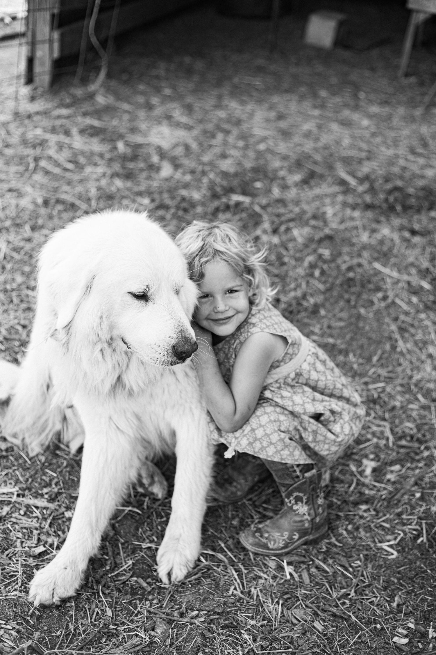Black and white image of child cuddling with a fluffy white animal on grass.