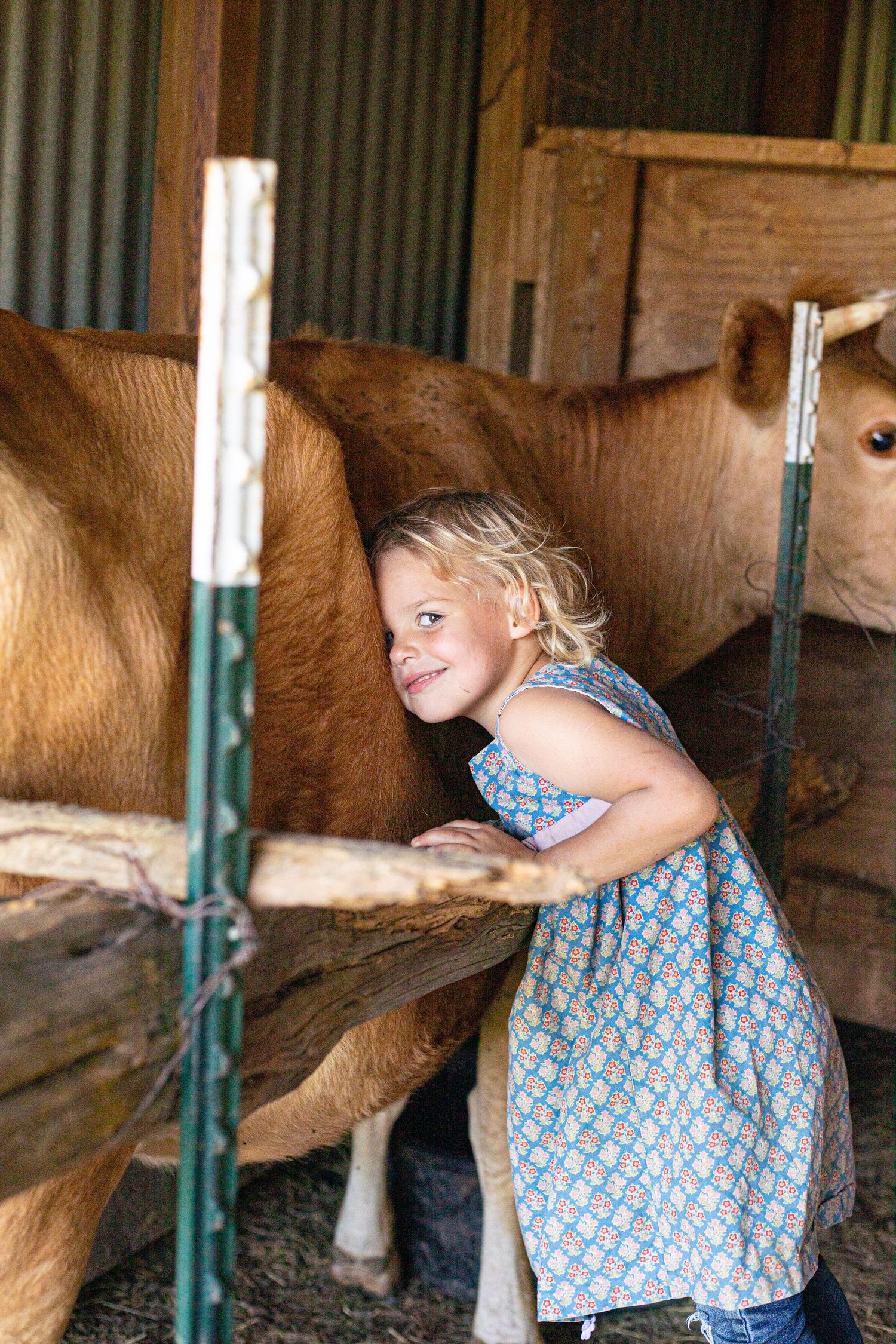 Child in blue dress interacting with a horse in a wooden stable.