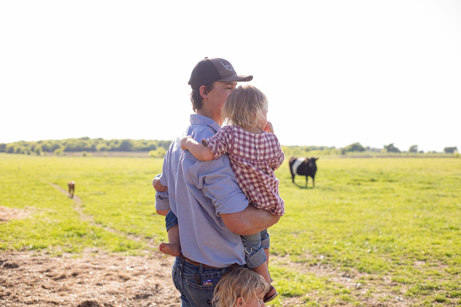 Tender moment between two people standing in sunny pasture with cattle grazing.
