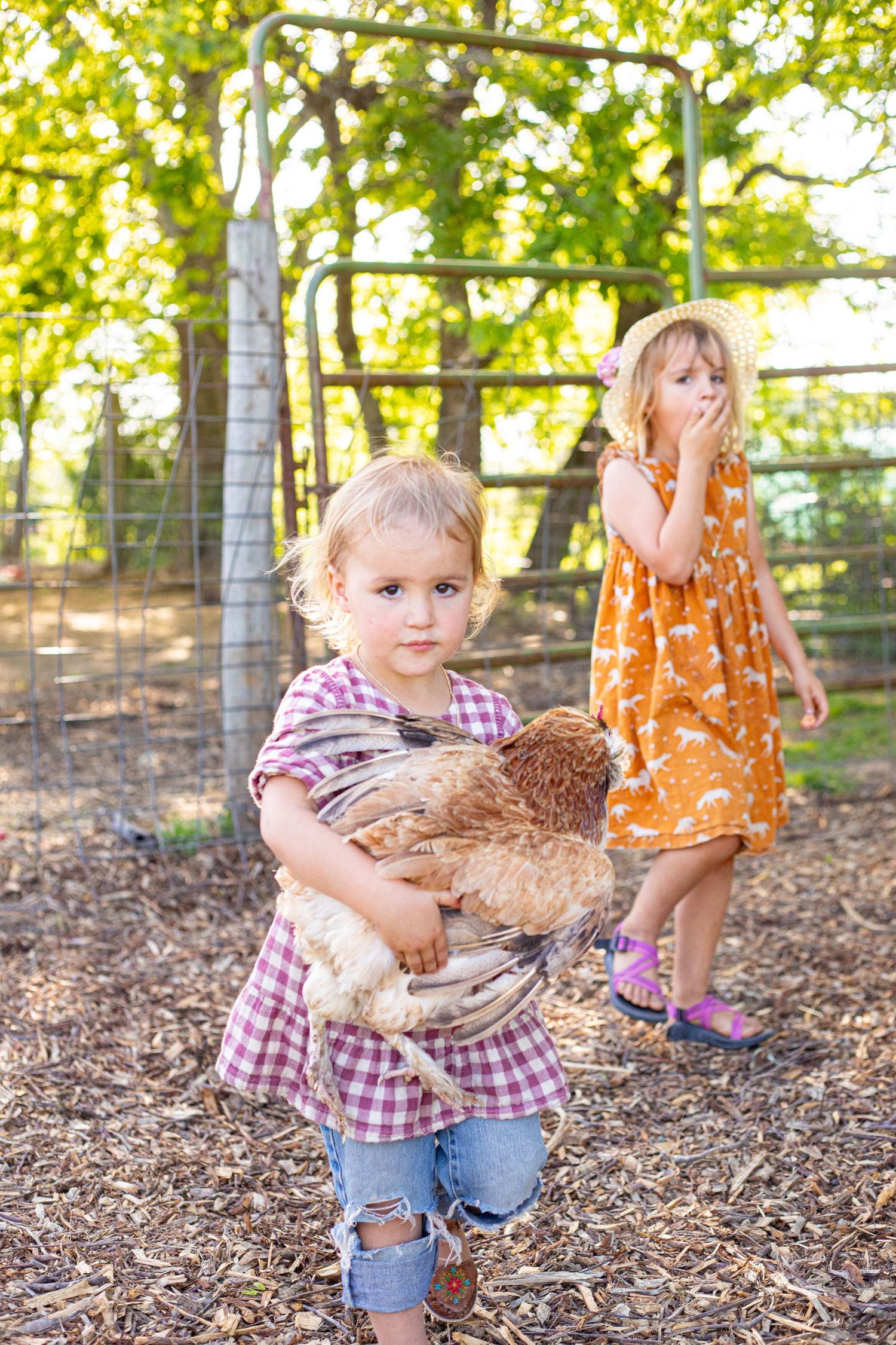 Children playing in a backyard with chickens on a sunny day near playground equipment.