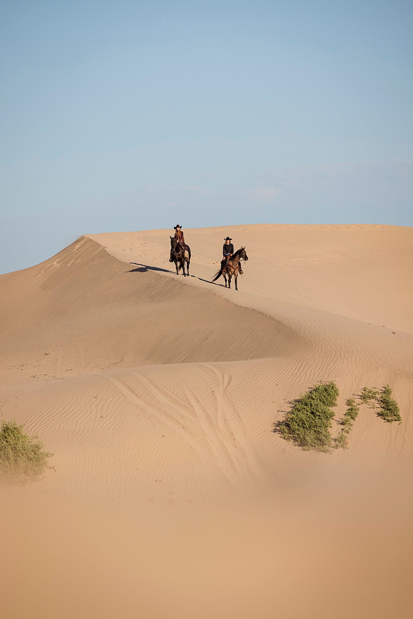 Two people riding horses across golden sand dunes in a vast desert landscape. Little Sahara Sand Dunes in Utah.