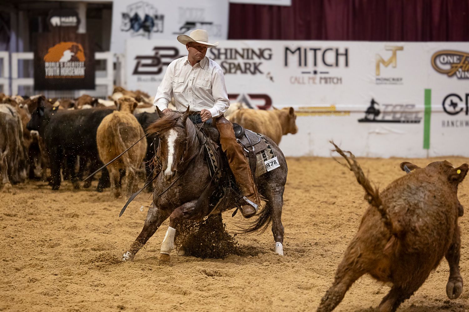 A cow horse in the herd work at the Snaffle Bit Futurity