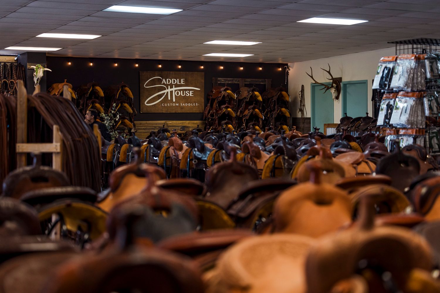 Rows of saddles in The Saddle House