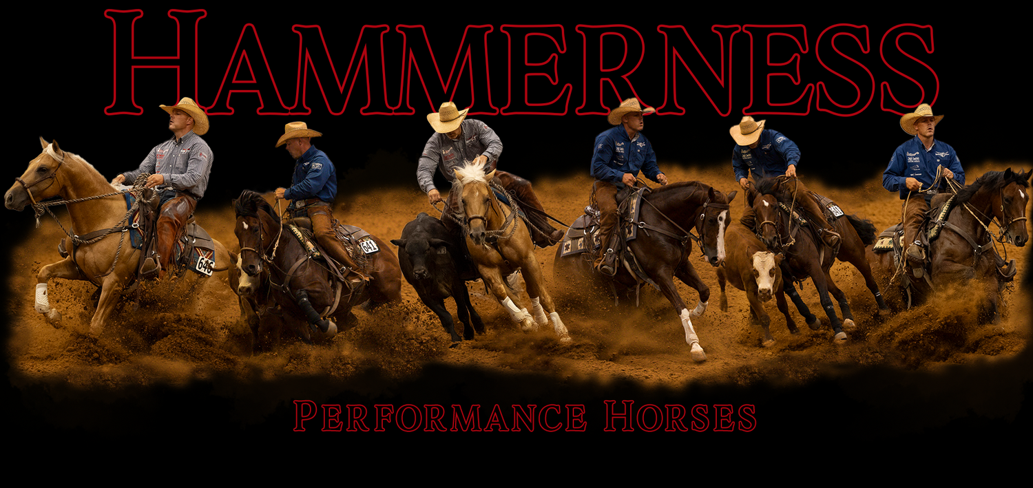 A graphic design for Hammerness Performance Horses