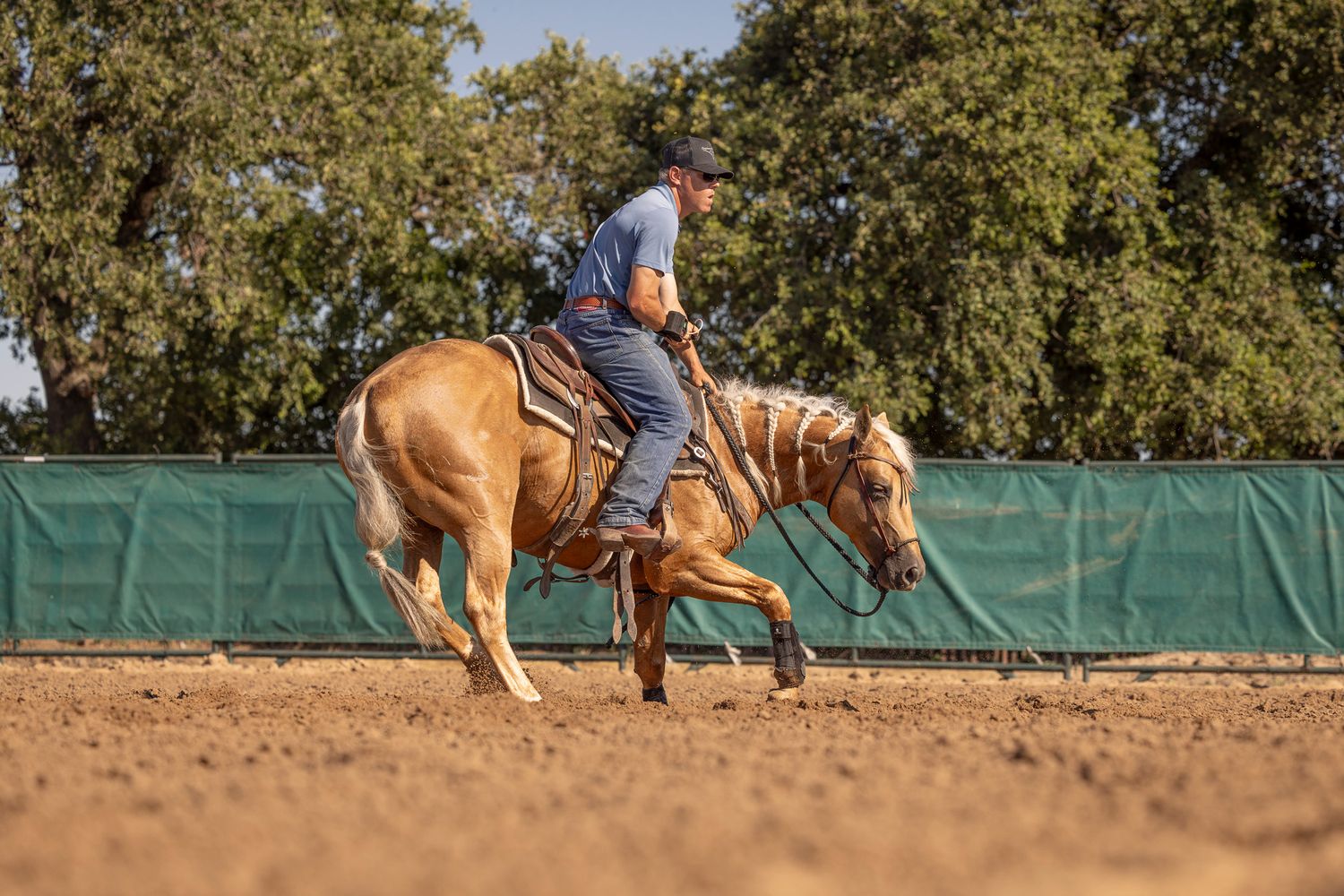 A palomino cow horse getting low working the flag