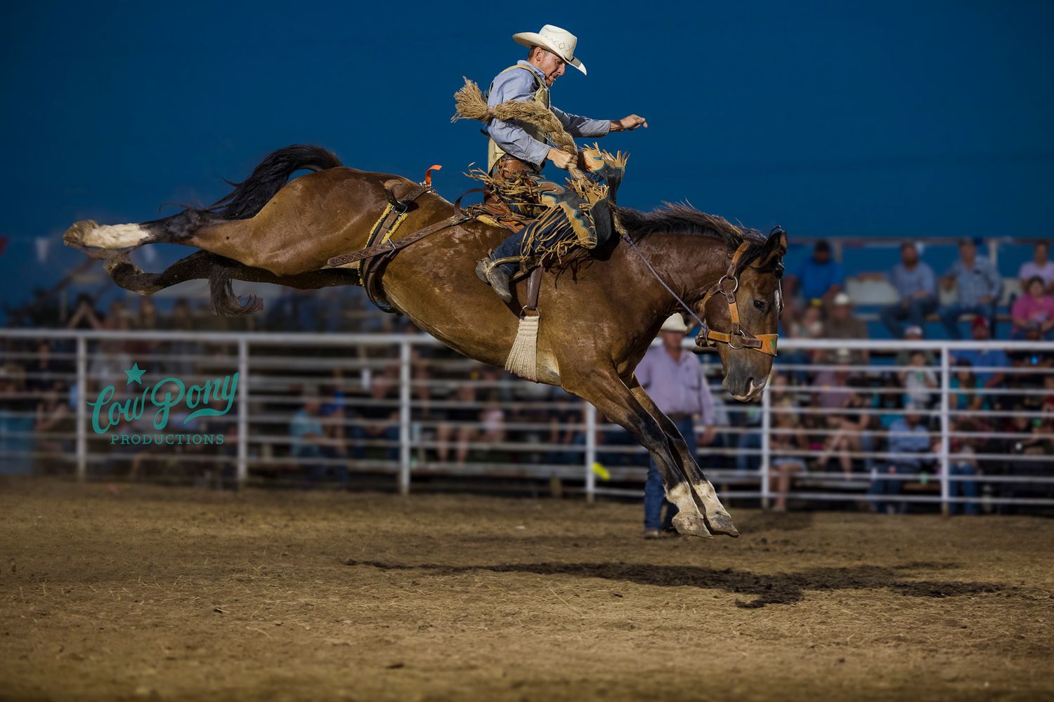 saddle bronc rider against a dark blue sky bucking at the Thornton Texas Rodeo