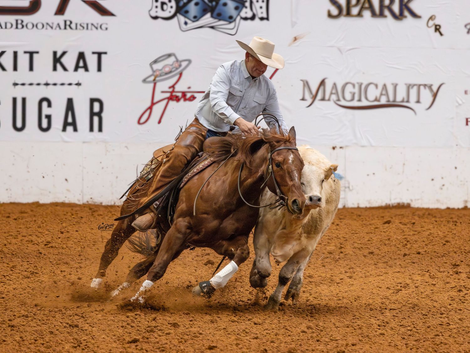 sorrel horse circling a cow during the snaffle bit futurity open prelims