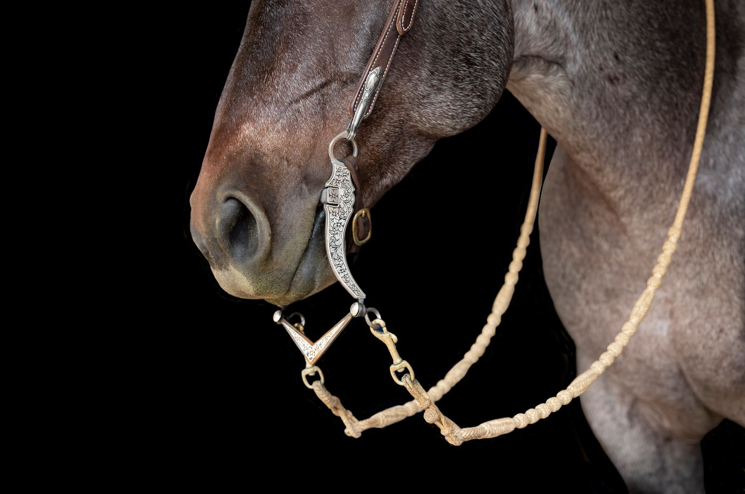 Close-up view of a bay roan horse's muzzle wearing a silver and leather bridle with detailed metalwork.