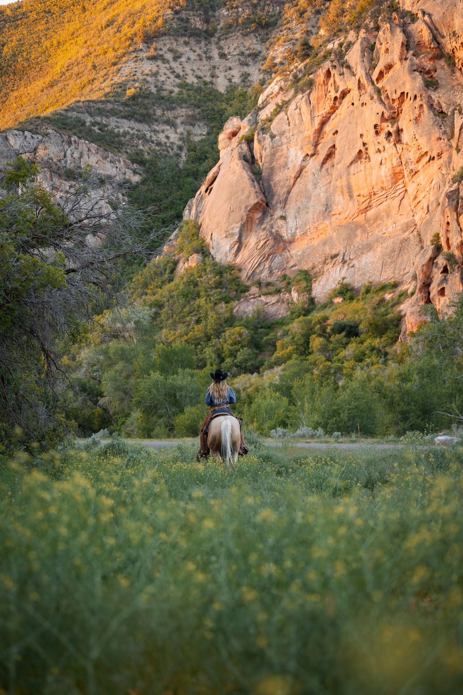 A cowgirl traverses a meadow beneath red ledges cliffs during golden hour in a scenic mountain landscape.